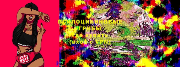 прущие крисы Беломорск