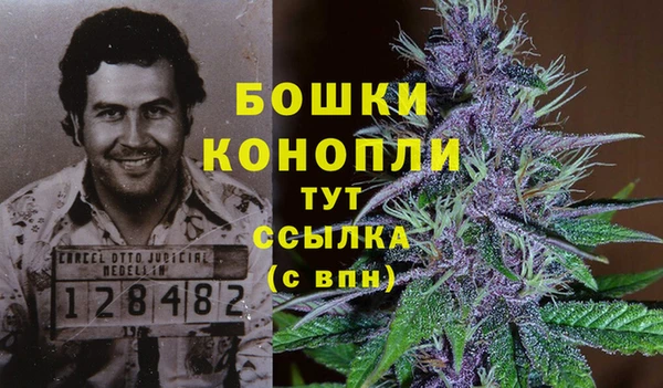 apvp Богородск