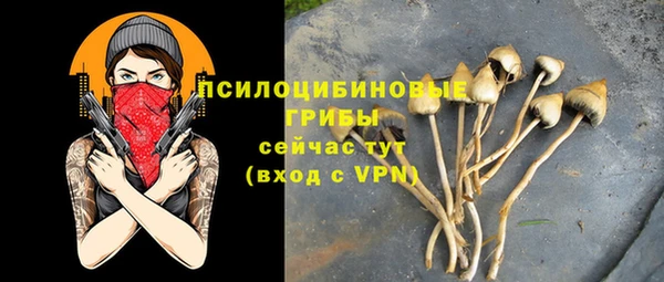 герыч Володарск
