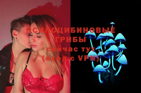 эйфоретик Богородицк
