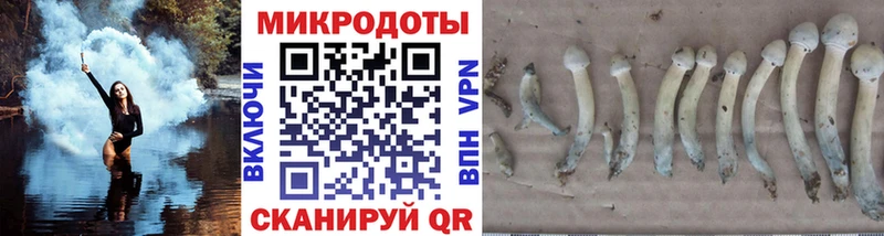 Псилоцибиновые грибы MAGIC MUSHROOMS  Горячий Ключ 